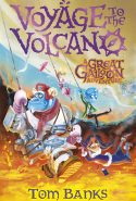 Voyage to the Volcano by Tom Banks